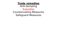Trade remedies (1).pptx